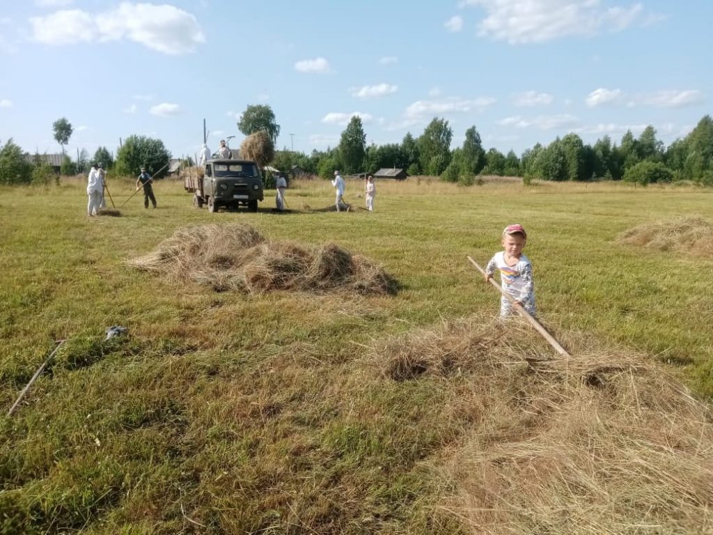 Рельс гонг на сенокосе сканворд. Волонтерские экспедиции.