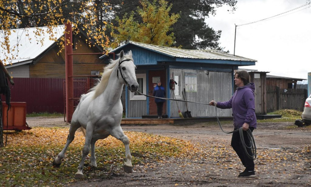 Фото: ИД «Вельские вести»