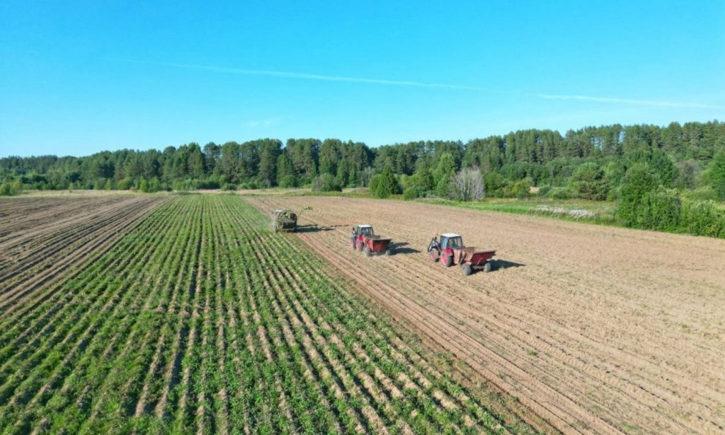 Фото из телеграм-канала Александра Цыбульского